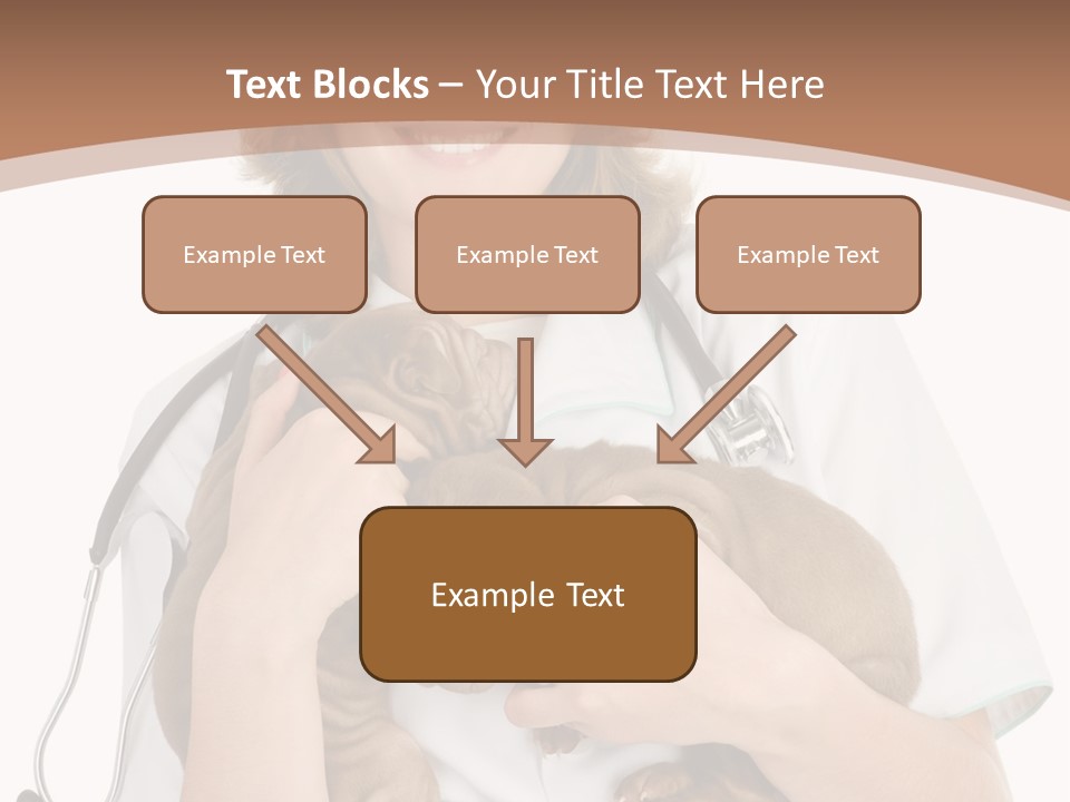 Doc Woman Newborn PowerPoint Template
