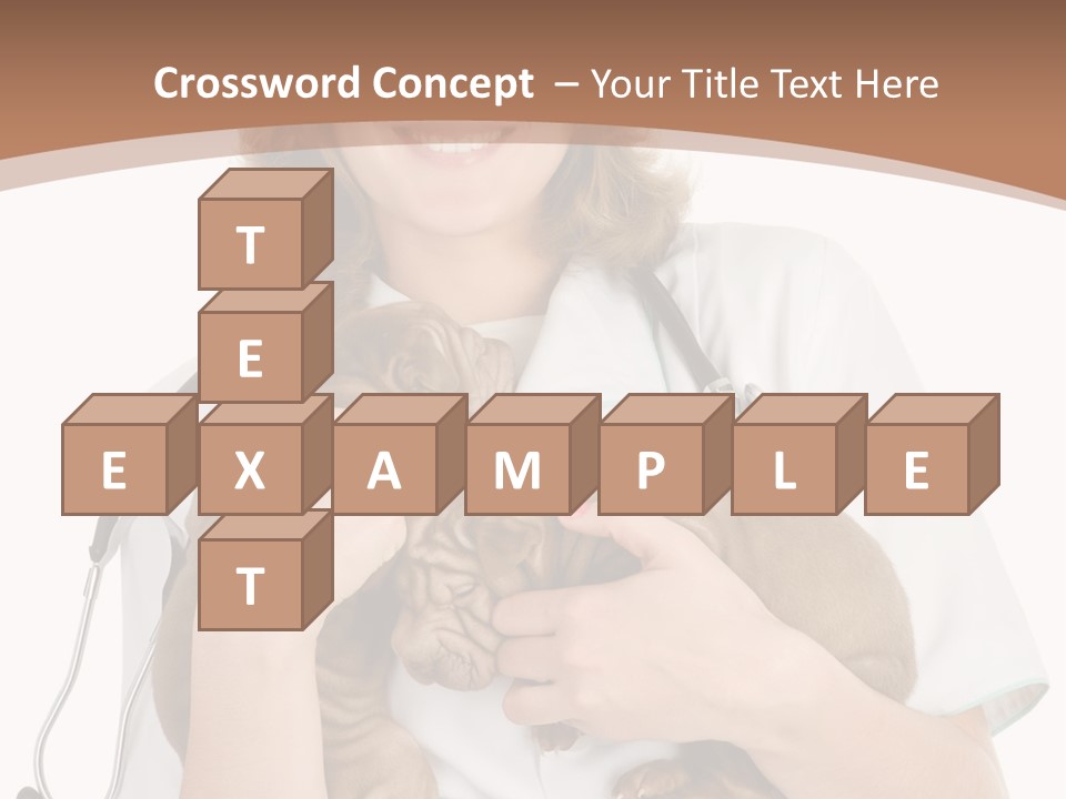 Doc Woman Newborn PowerPoint Template