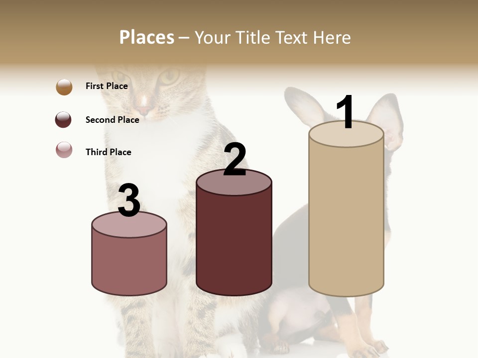 Playing Background White PowerPoint Template