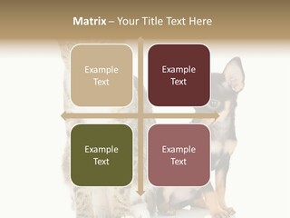 Playing Background White PowerPoint Template