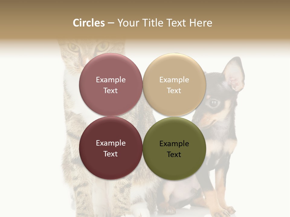 Playing Background White PowerPoint Template