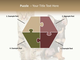 Playing Background White PowerPoint Template
