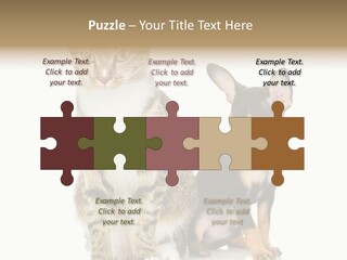 Playing Background White PowerPoint Template