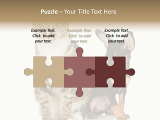 Playing Background White PowerPoint Template