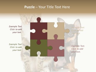 Playing Background White PowerPoint Template