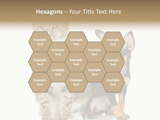 Playing Background White PowerPoint Template