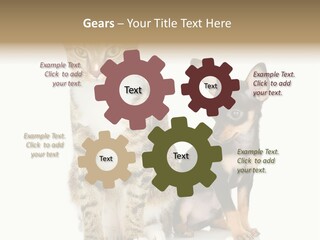 Playing Background White PowerPoint Template