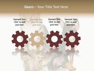 Playing Background White PowerPoint Template