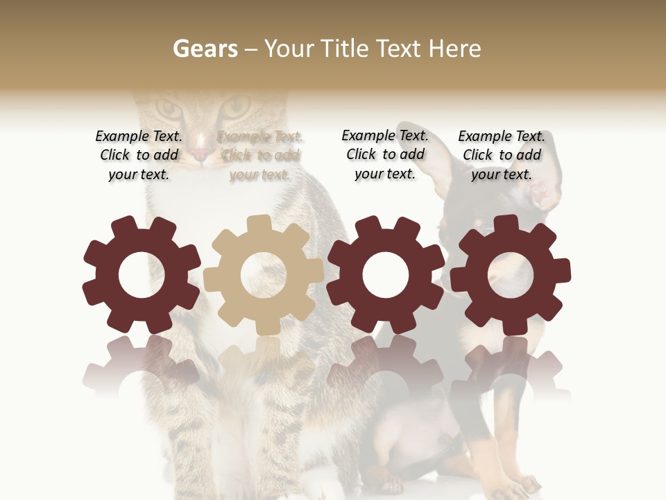 Playing Background White PowerPoint Template