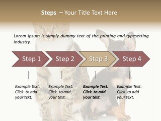 Playing Background White PowerPoint Template