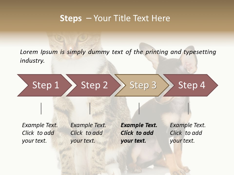 Playing Background White PowerPoint Template