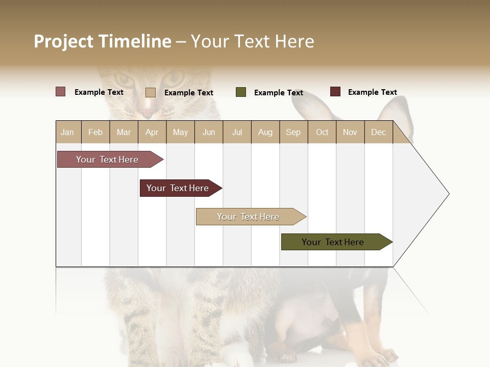 Playing Background White PowerPoint Template