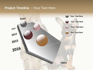 Playing Background White PowerPoint Template