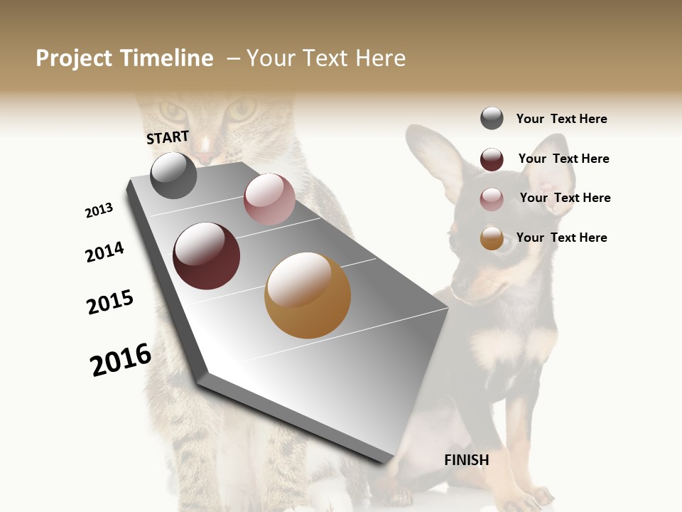 Playing Background White PowerPoint Template