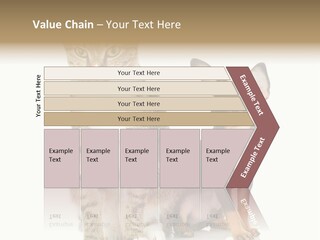 Playing Background White PowerPoint Template