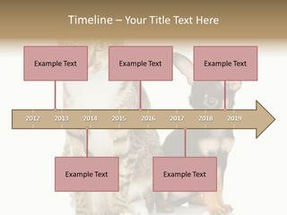 Playing Background White PowerPoint Template