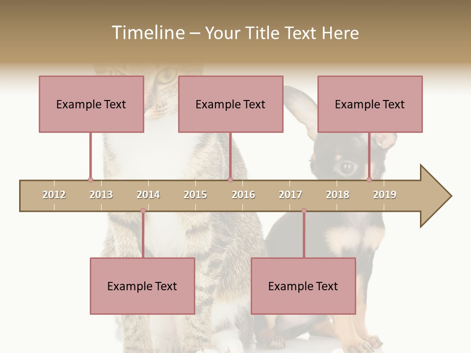 Playing Background White PowerPoint Template