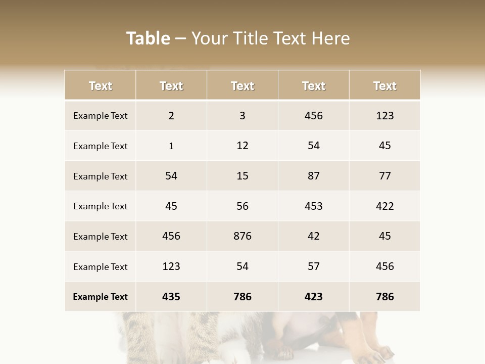 Playing Background White PowerPoint Template