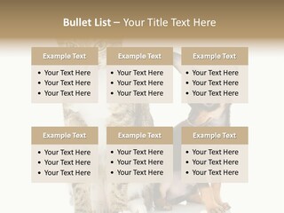 Playing Background White PowerPoint Template
