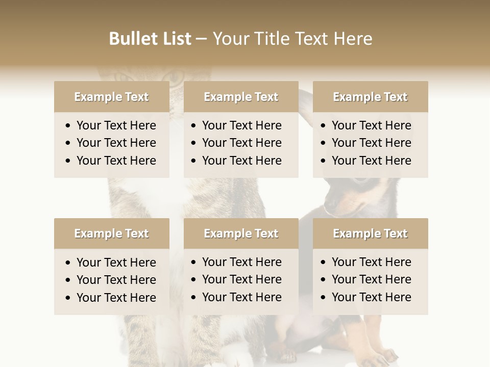 Playing Background White PowerPoint Template