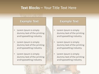 Playing Background White PowerPoint Template