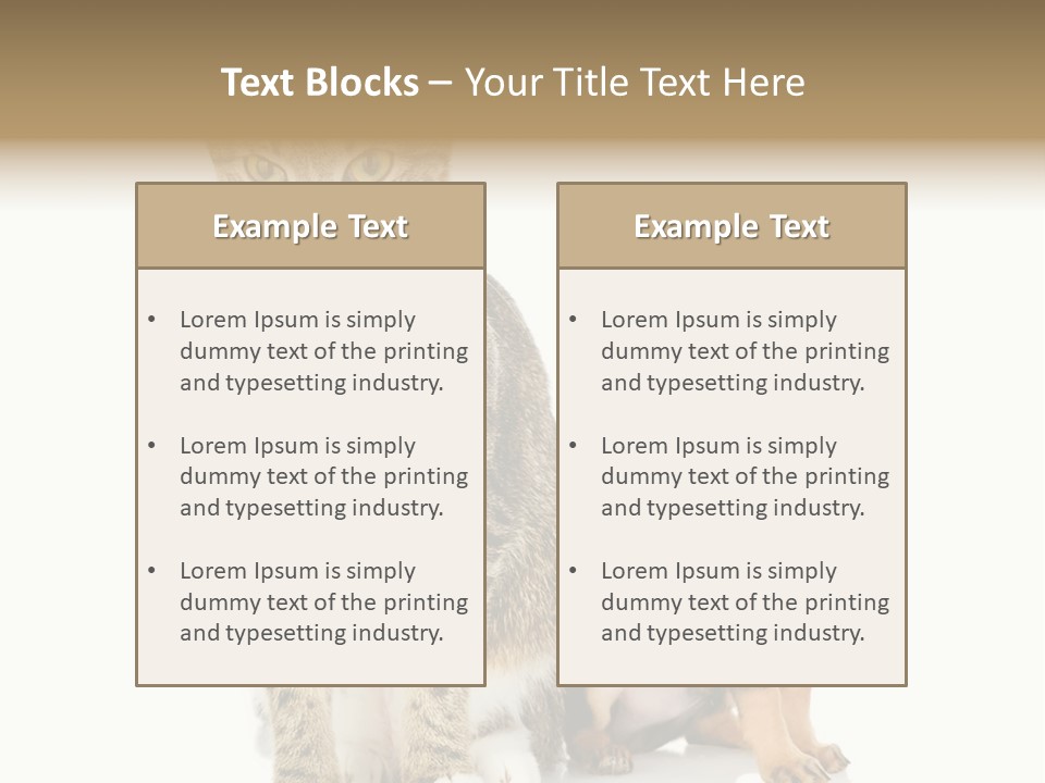 Playing Background White PowerPoint Template