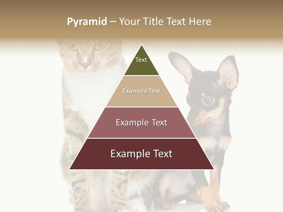 Playing Background White PowerPoint Template