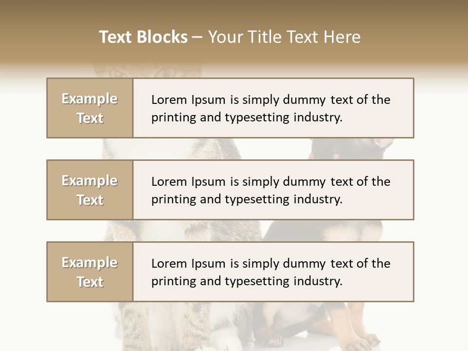 Playing Background White PowerPoint Template