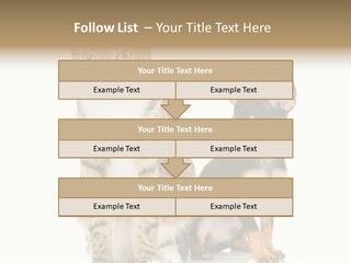 Playing Background White PowerPoint Template