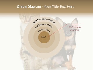 Playing Background White PowerPoint Template