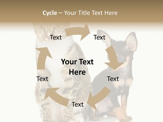 Playing Background White PowerPoint Template