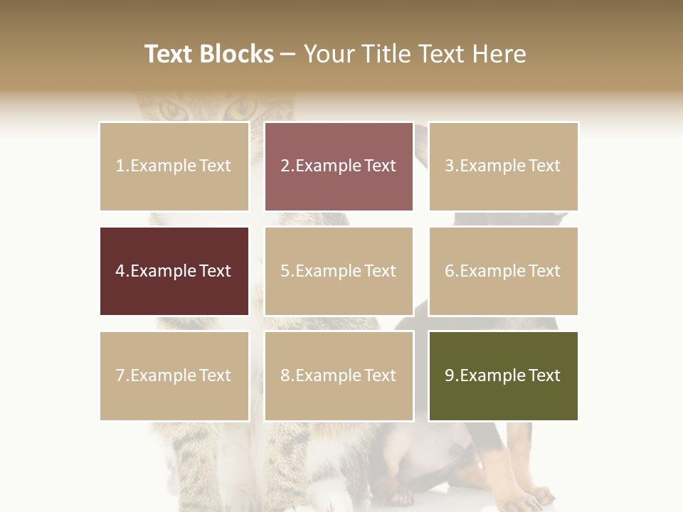 Playing Background White PowerPoint Template