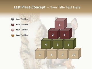 Playing Background White PowerPoint Template