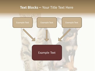 Playing Background White PowerPoint Template