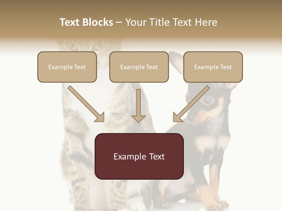 Playing Background White PowerPoint Template