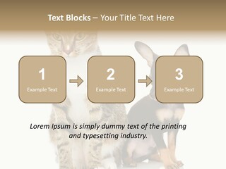 Playing Background White PowerPoint Template