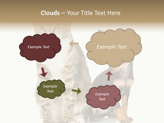Playing Background White PowerPoint Template