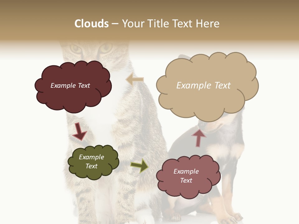 Playing Background White PowerPoint Template