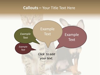 Playing Background White PowerPoint Template