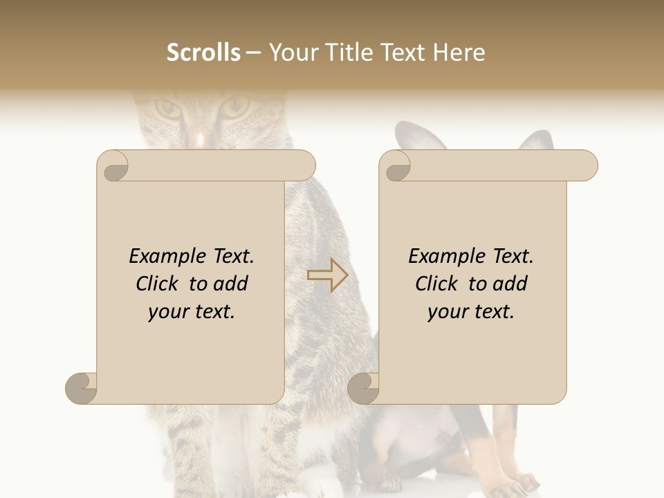 Playing Background White PowerPoint Template