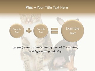 Playing Background White PowerPoint Template