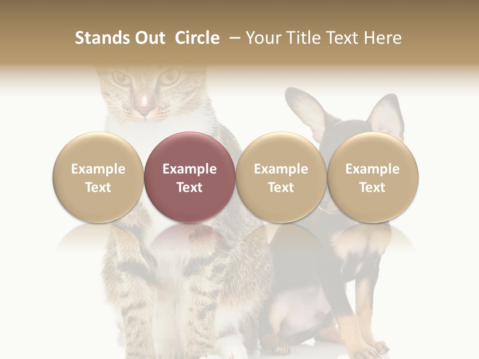 Playing Background White PowerPoint Template