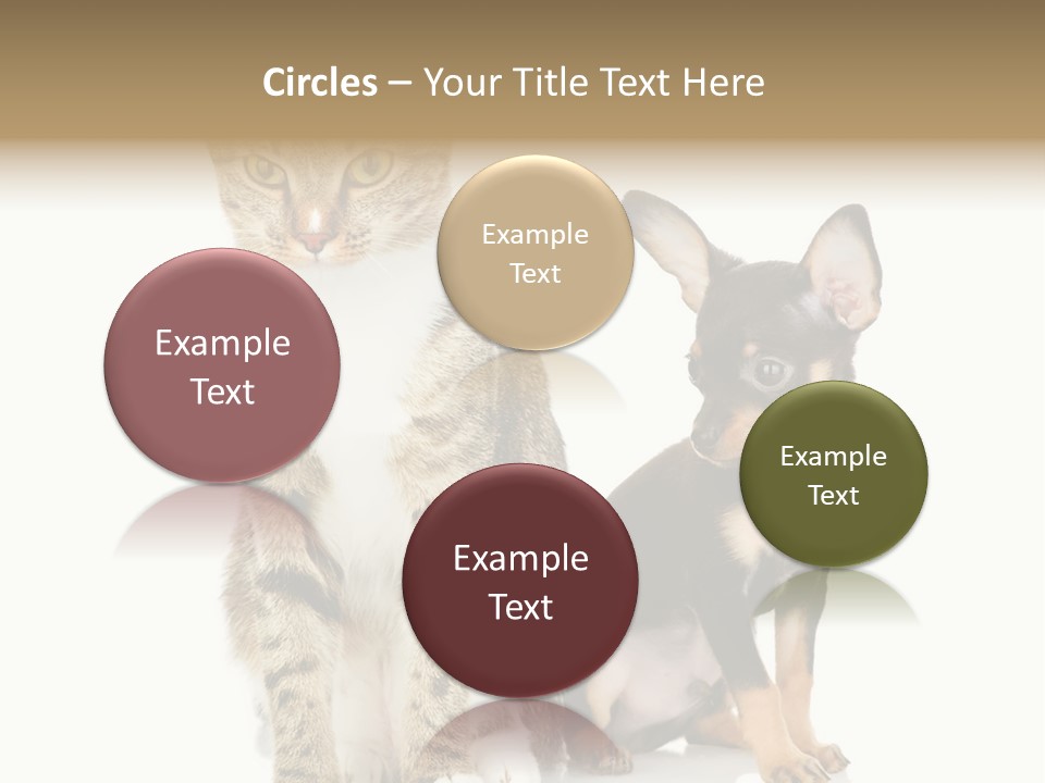 Playing Background White PowerPoint Template