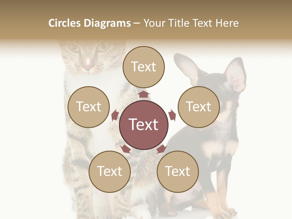 Playing Background White PowerPoint Template