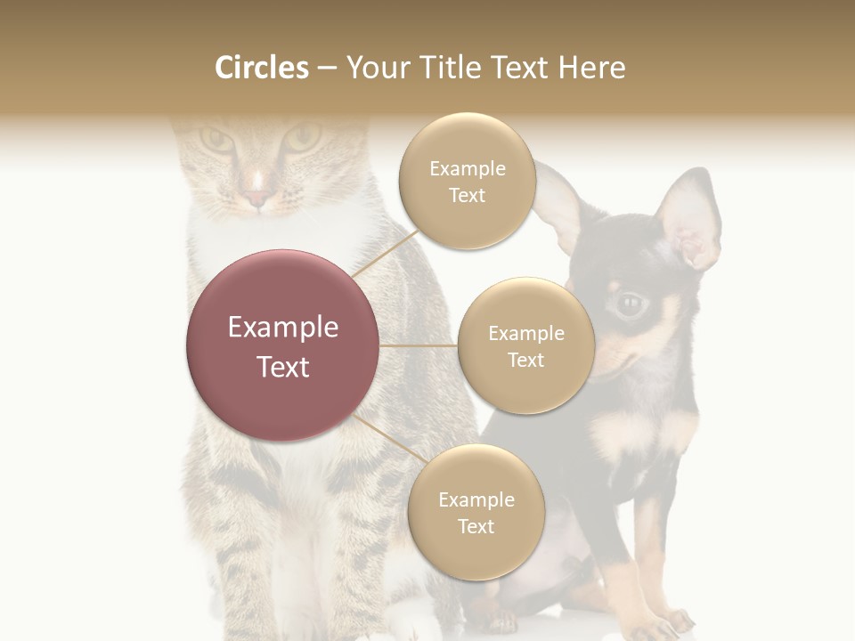 Playing Background White PowerPoint Template