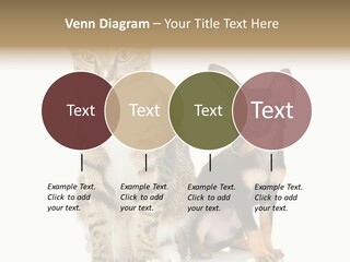 Playing Background White PowerPoint Template
