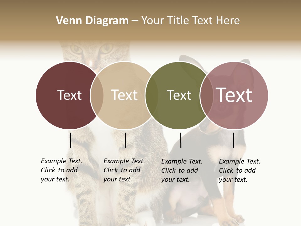 Playing Background White PowerPoint Template