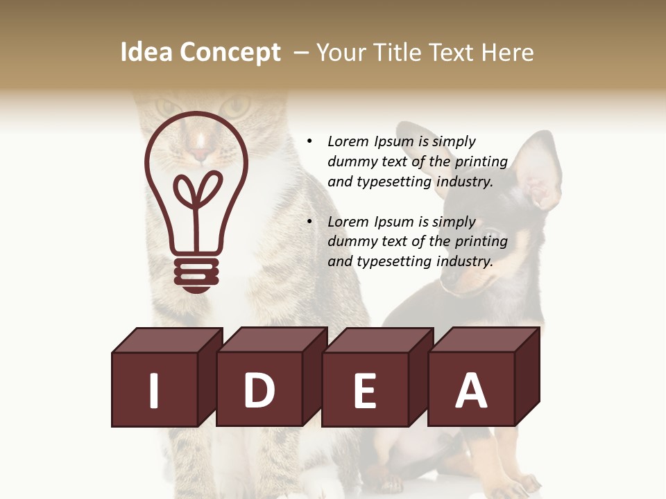 Playing Background White PowerPoint Template