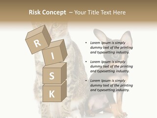 Playing Background White PowerPoint Template