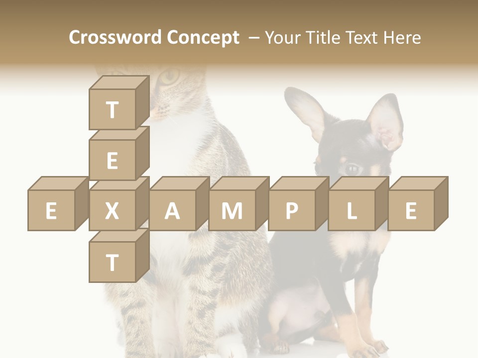 Playing Background White PowerPoint Template